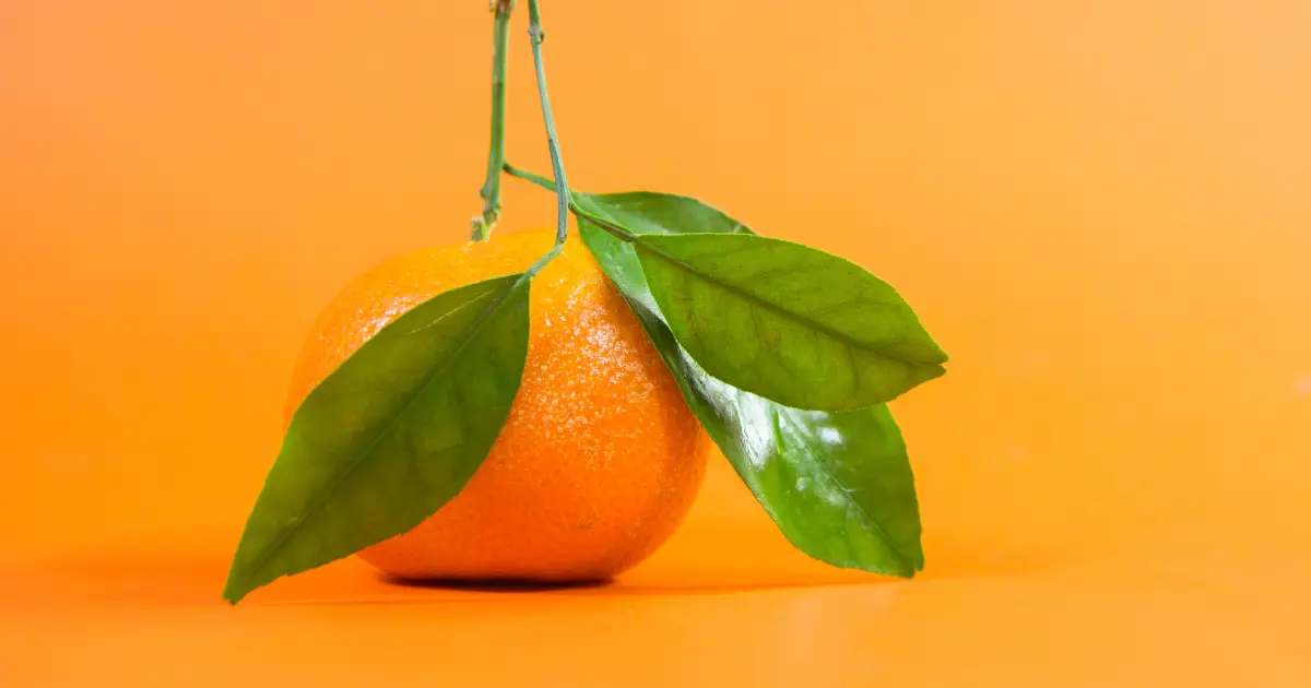 Vitamina C